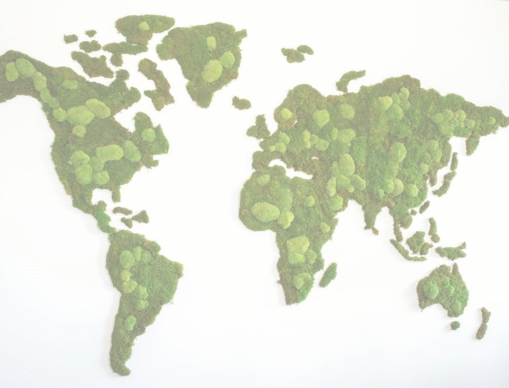 Weltkarte bedeckt in Vegetation